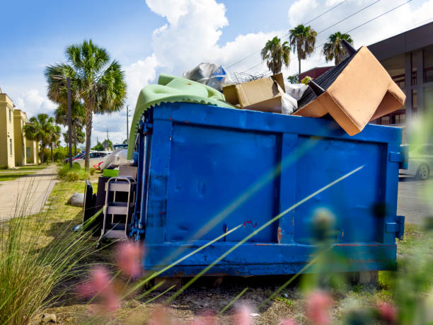 Best Yard Cleanup Services  in New Ulm, MN